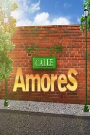 Calle Amores