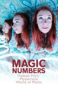 Magic Numbers: Hannah Fry’s Mysterious World of Maths