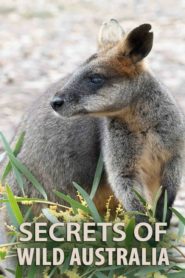 Secrets of Wild Australia