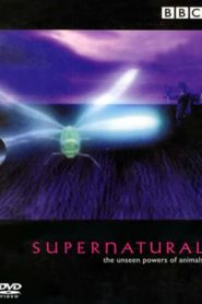 Supernatural: Unseen Power of Animals