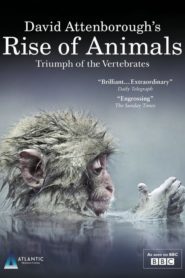 David Attenborough’s Rise of Animals: Triumph of the Vertebrates