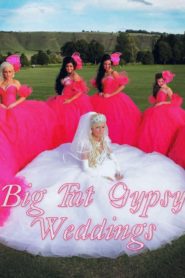 Big Fat Gypsy Weddings