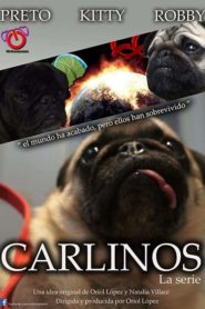 Carlinos, la serie