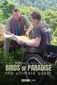 Birds of Paradise: The Ultimate Quest