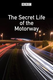 The Secret Life of the motorway