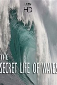 The Secret Life of Waves