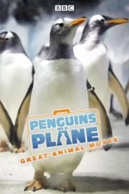 Penguins on a Plane: Great Animal Moves