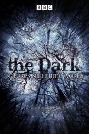 The Dark: Nature’s Nighttime World