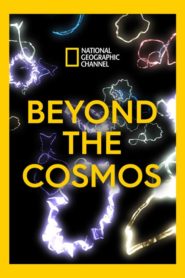 Beyond the Cosmos