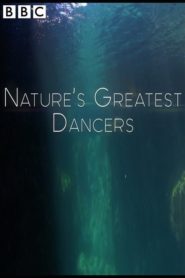 Nature’s Greatest Dancers