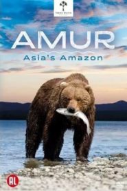 Amur Asia’s Amazon