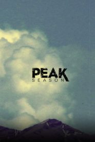 Peak Season