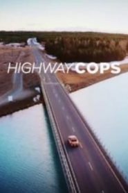 Highway Cops
