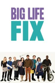 The Big Life Fix