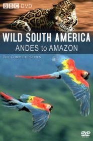 Andes to Amazon