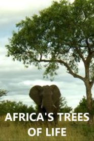 Africa’s Trees of Life
