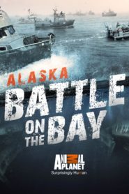 Alaska: Battle on the Bay