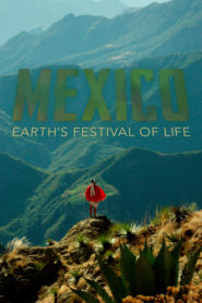 Mexico: Earth’s Festival of Life