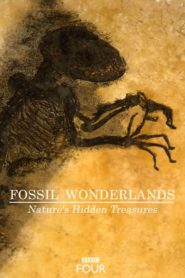 Fossil Wonderlands: Nature’s Hidden Treasures