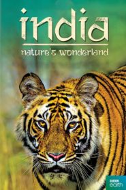 India: Nature’s Wonderland
