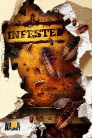 Infested