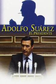 Adolfo Suarez, El Presidente