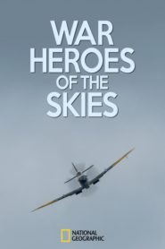 War Heroes of the Skies