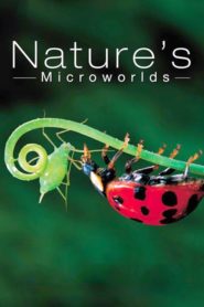 Nature’s Microworlds