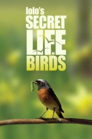 Iolo’s Secret Life of Birds