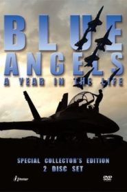 Blue Angels: A Year in the Life