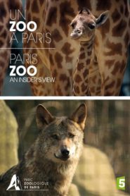 Paris Zoo: An Insider’s View