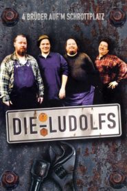 Die Ludolfs – 4 Brüder auf’m Schrottplatz