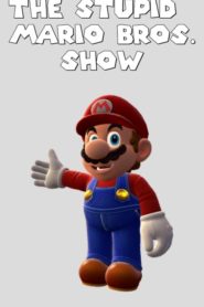 The Stupid Mario Bros Show