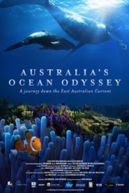 Australia’s Ocean Odyssey: A journey down the East Australian Current