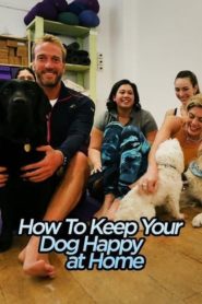 How To Keep Your Dog Happy At Home