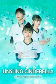 Unsung Cinderella, Midori, The Hospital Pharmacist