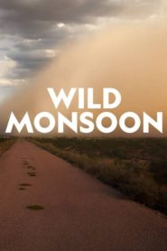 Wild Monsoon
