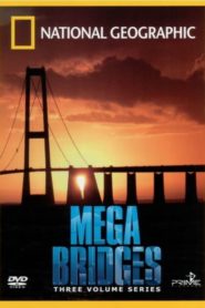 Mega Bridges